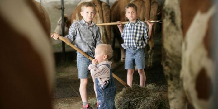 Protected From Allergies Thanks to the Farm Life