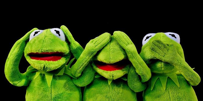 Vocal Markers for Trust and Reliability are Easily Manipulated