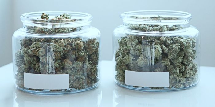 Nanoemulsion Speeds up THC Absorption in Edibles