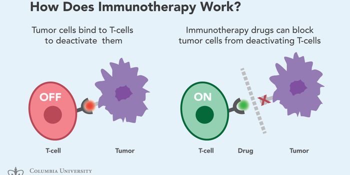 Merging Immunotherapy and Epigenetic Therapy To Defeat Cancer