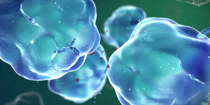 How the immune system works