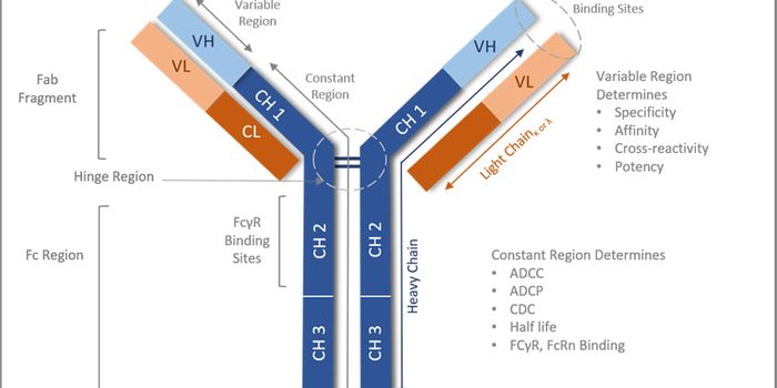 Impact of In Vivo Controls on Therapeutic Drug Development