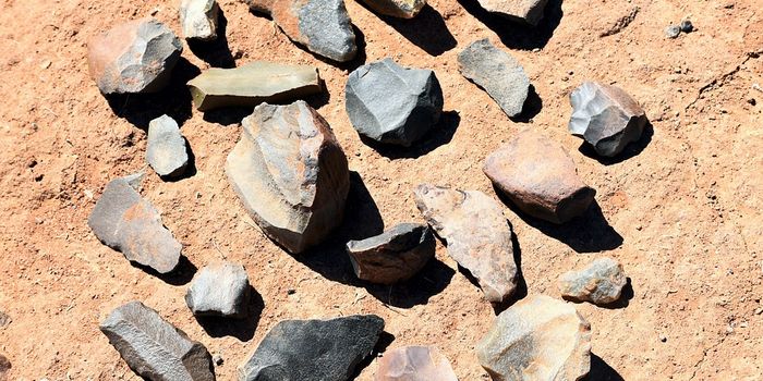 America's earliest stone tools may have been discovered in Idaho