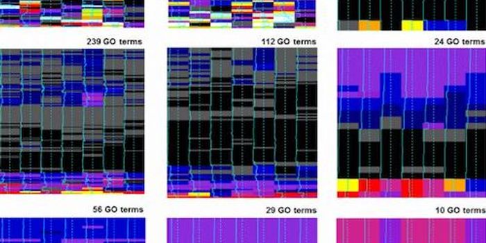 Shedding Light on a Genomic Mystery