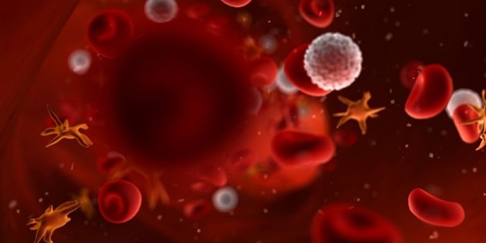 Key Protein Lets Plavix Conquer Platelets