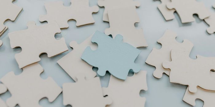 Prenatal Cannabis Disrupts Neurodevelopment into Adulthood