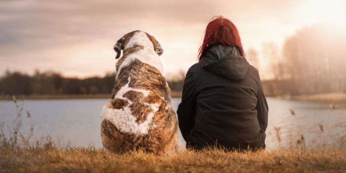 Antibiotic Resistance May Be Passed Between Dogs and Owners