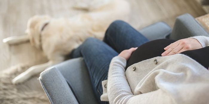 Chronic Hypertension During Pregnancy Worsening