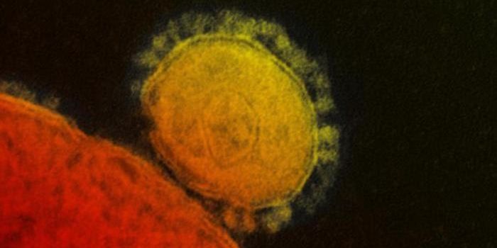 A Potential Treatment for MERS is Found