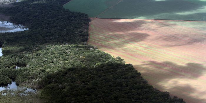 Norway Pledges $400 Million Fund for Anti-Deforestation