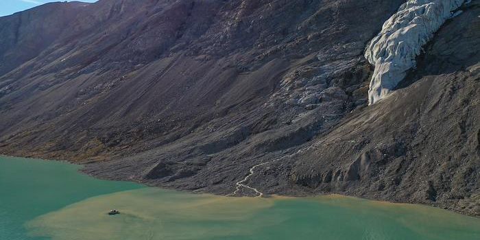 Melting Ice, Murky Waters: Understanding Arctic Ocean Changes