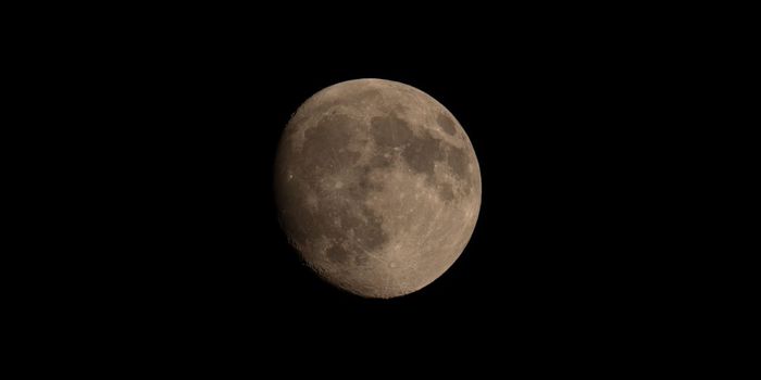 'Pulling an All-Nighter' Increases Dopamine and Synaptic Plasticity