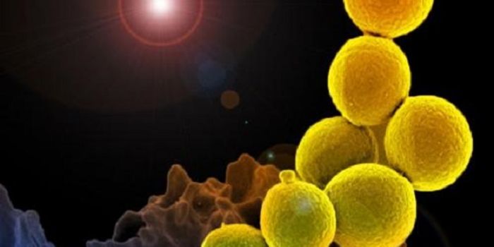 'Warhead' Molecule to Hunt Down Deadly Bacteria