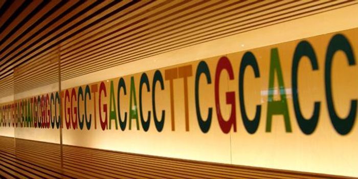 Human Genome Includes 'Foreign' Genes Not From Our Ancestors