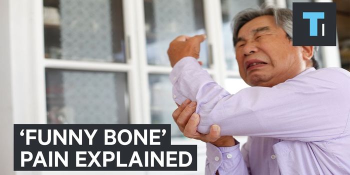 What Does it Mean to Bump Your Funny Bone?