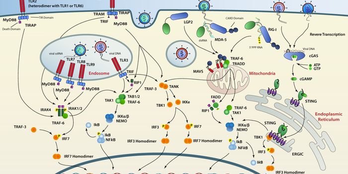Defeating the Next Pandemic: The Promise of Broad Spetrum  Antiviral Solutions
