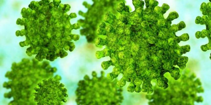 Protecting Monkeys against MERS