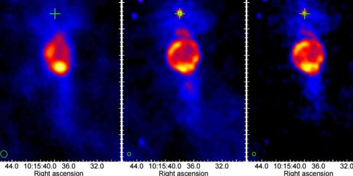 This Pulsar is Feeding a Slow-Moving Bow-Shock Pulsar Wind Nebula