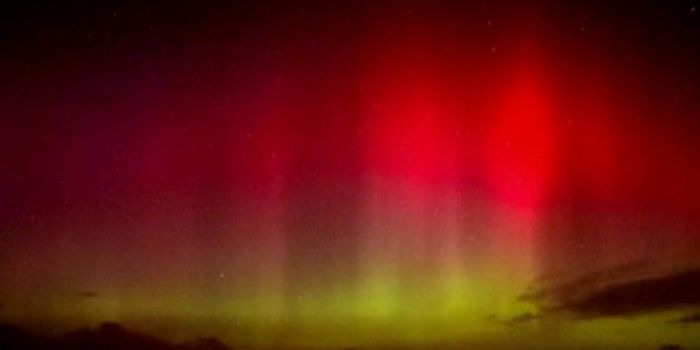 Northern Lights Head South