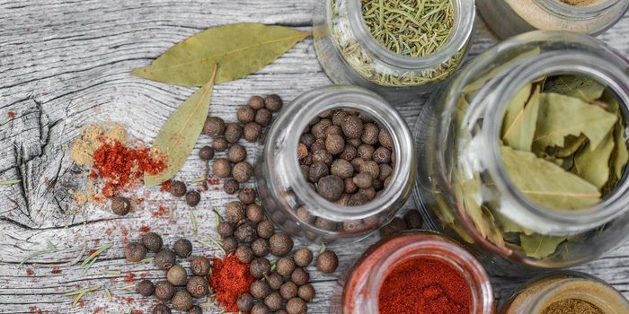 Examining the Bioactive Components of an Alga Against Cancer