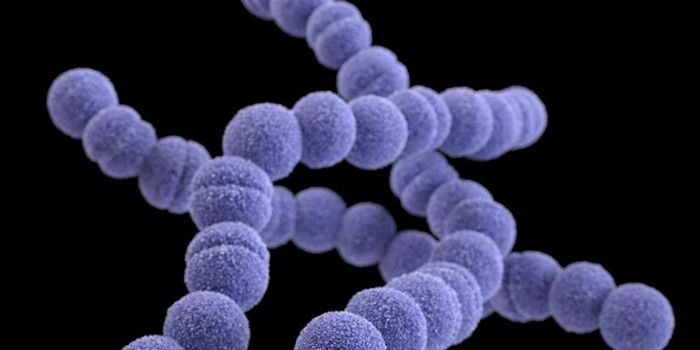 Scarlet Fever 'Superclones' Pose Rising Public Health Threat