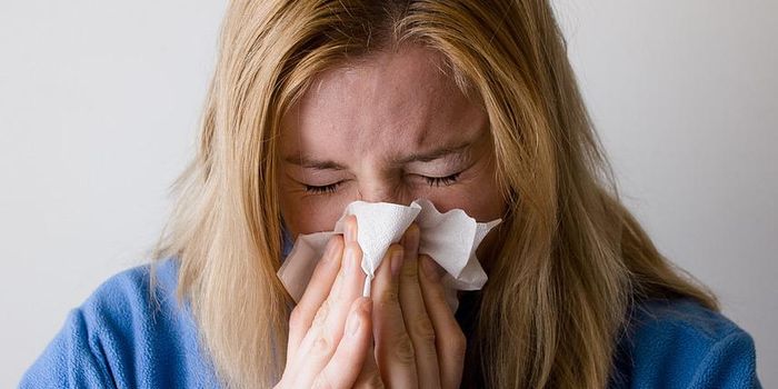 Seasonal Flu Could Get Knockout Punch from Antiviral Drugs and Antibody Therapy Combo