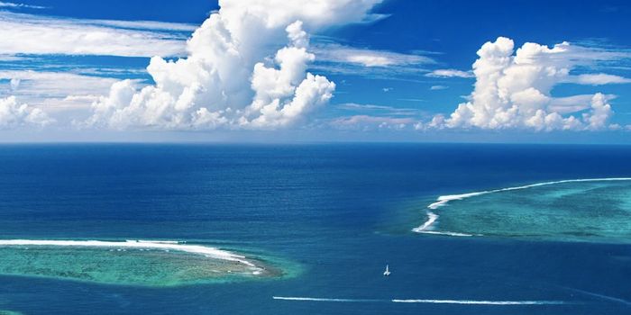 What the Oncoming La Niña Means for Weather