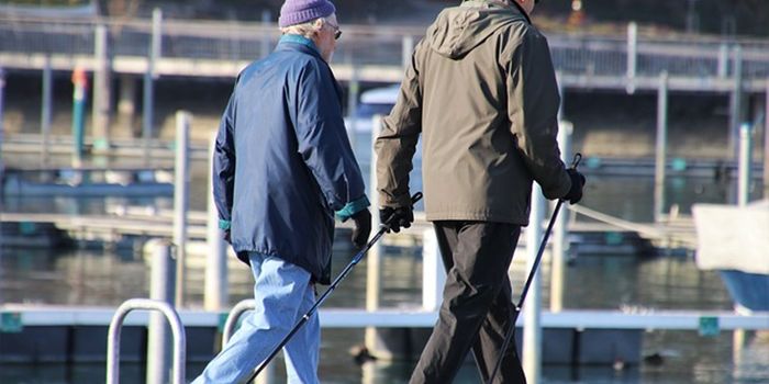 Healthy Aging Through Managing Heart Risks