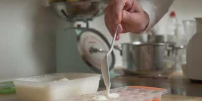 Researchers Demonstrate how Probiotics can Easily be Made