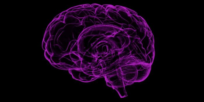 Hyperactive Mitochondria Can Fuel Brain Tumors