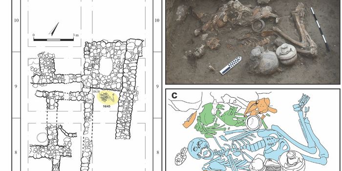 Burial of Bronze Age Brothers Provides Insights into Ancient Brain Surgery