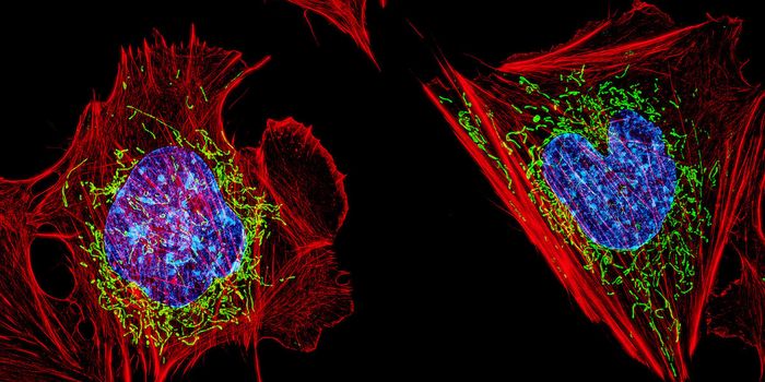 Solving the Mystery of Nuclear Speckles
