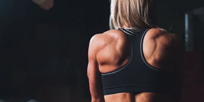 New Research on Strength Training and Muscle Building