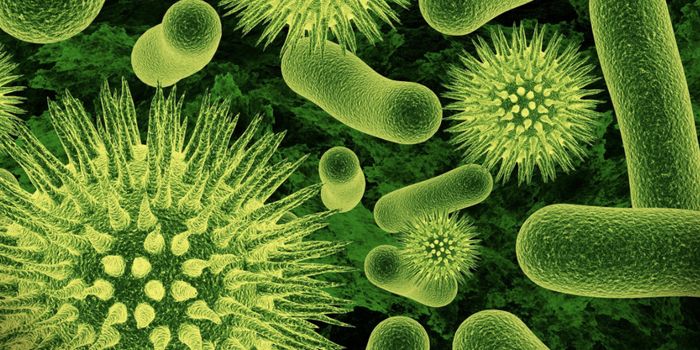 Researchers Learn how the Immune System is Alerted to Viruses