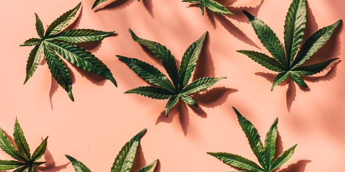 CBD and CBG May Promote Fracture Healing