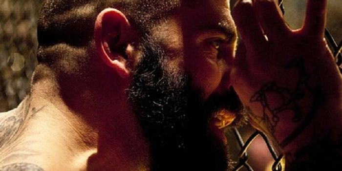 Can Traumatic Brain Injury Contribute to Criminal Behavior?