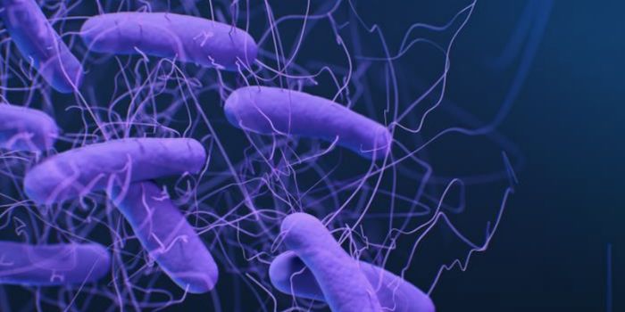 Why Two Similar Bacterial Toxins Cause Different Illnesses
