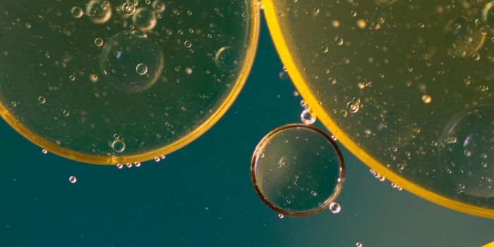 Some Human Gut Microbes are Shaped by Evolution & Linked to Disease