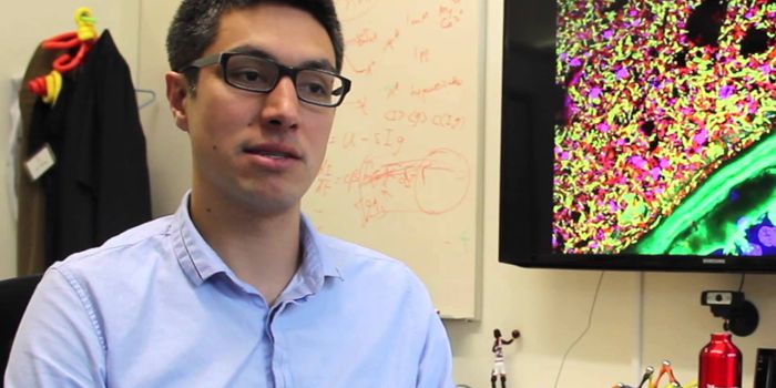 Unraveling Secrets Of Shape-Shifting Bacteria