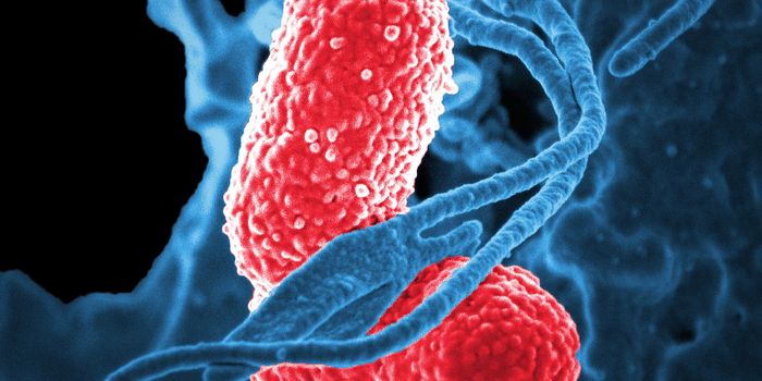 Waging a War on Antibiotic Resistant Bacteria