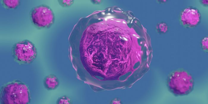 A Step Toward Artificial Chromosomes - Manufacturing a Kinetochore