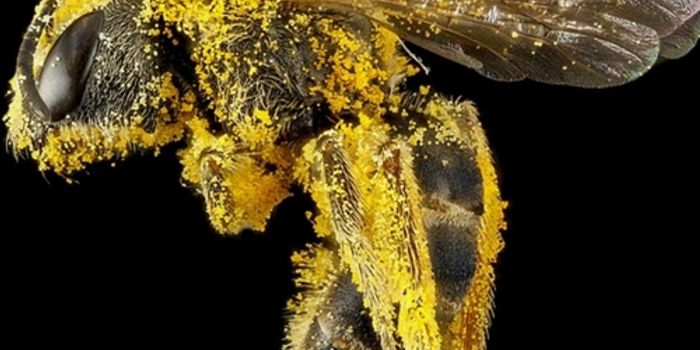 Spring Allergies Are Back With a Vengeance