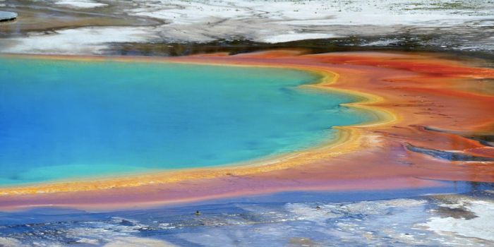 A Missing Link Between Prokaryotes and Eukaryotes is Found