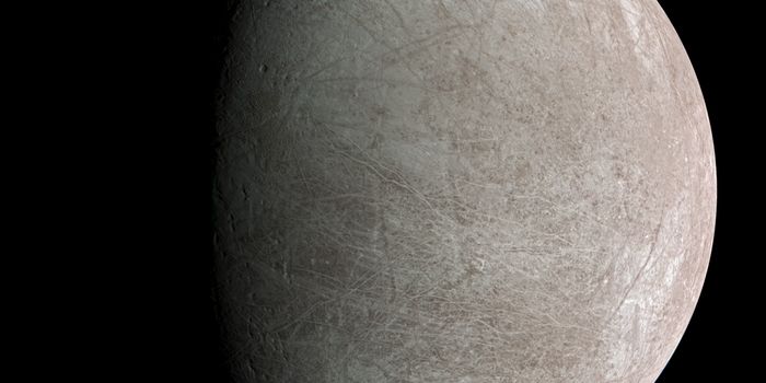 Exploring Ice-Ocean Interactions on Alien Moons