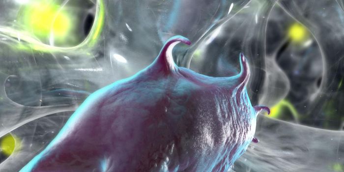 Understanding Stem Cell Movement for Improved Therapies