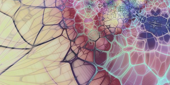 How a Natural Compound Tamps Down Immunity & May Treat Arthritis