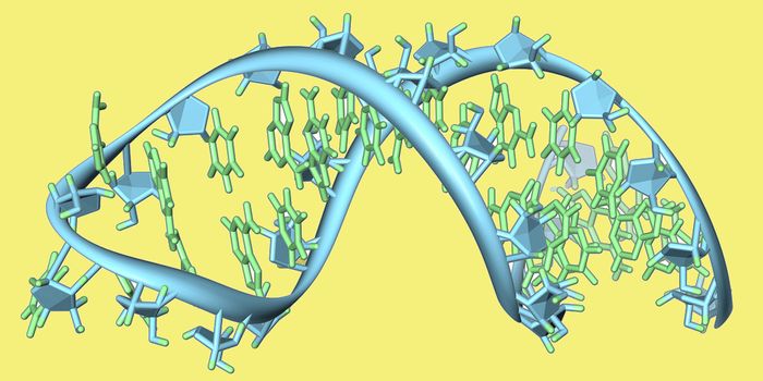 New Details About Quality Control of RNA by Cells