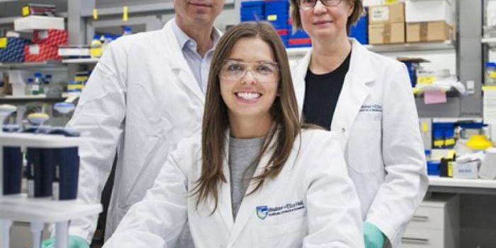 Discovery Could Curtail Breast Cancer Before It Strikes Women