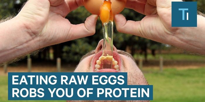 Want More Nutrition From Your Eggs? Cook Them!