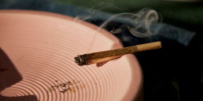 Health Risks of Concurrent Cannabis and Nicotine Use During Pregnancy